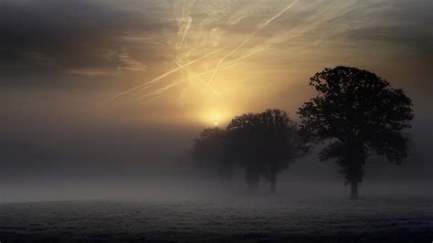 Fog Full Hd Wallpaper And Background Image 1920x1080 Id499882