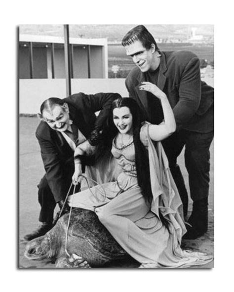 Movie Picture Of The Munsters Buy Celebrity Photos And Posters At