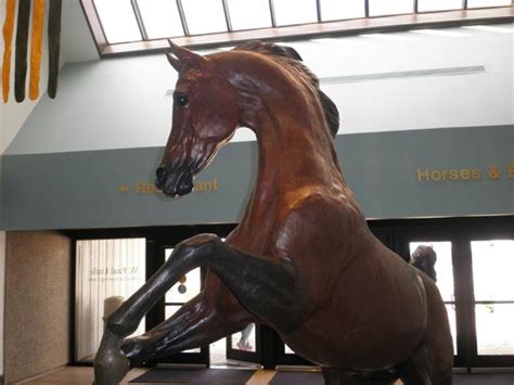 Man O War Statue By Herbert Haseltine Picture Of Kentucky Horse