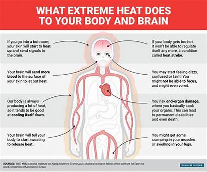 Heat Happens Too Does Brain Extreme Mind