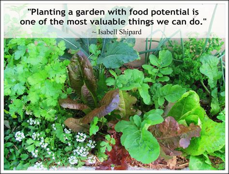 Herb Garden Quotes Quotesgram
