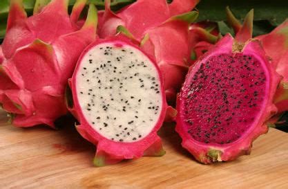 We did not find results for: Manfaat dari Buah Naga | brilliantpresley