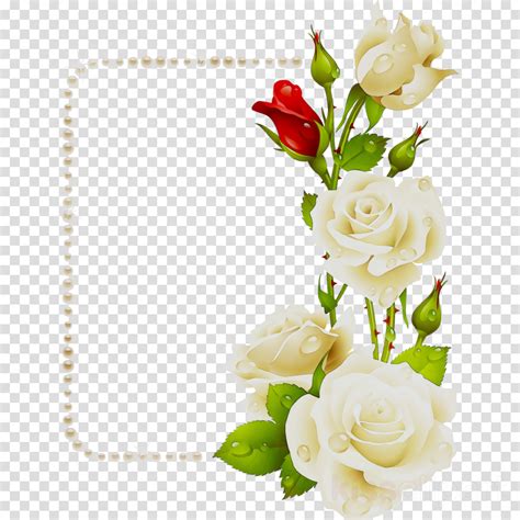 Paling Populer 24 Bunga Mawar Merah Free Download Gambar Bunga Hd
