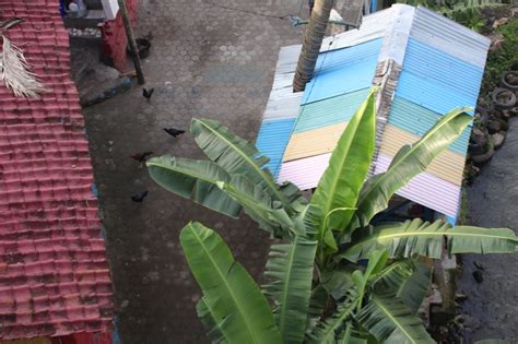 The Color Block Favelas Of Yogyakarta Indonesia
