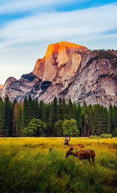 Yosemite National Park California · Free Photo On Pixabay