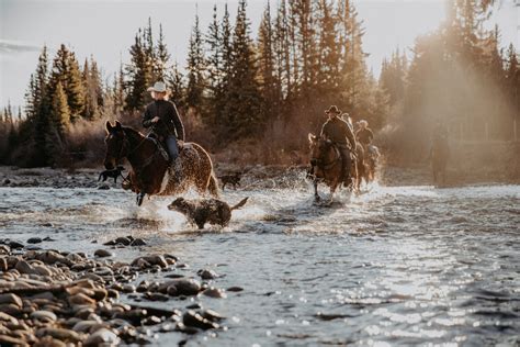 Canadian Horse Riding Holiday In Chilcotin British Columbia From Cad1