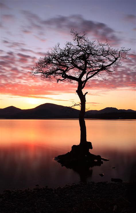 Loch Lomond Sunset Photograph By Grant Glendinning Fine Art America
