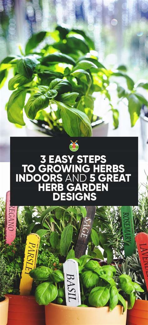 3 Easy Steps To Growing Herbs Indoors And 5 Herb Garden Inspiration