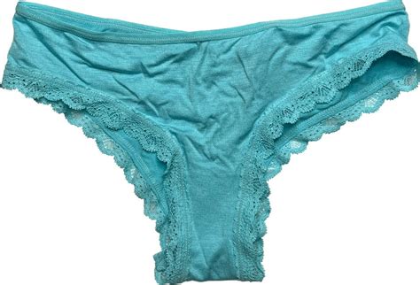 Victorias Secret Low Rise Cheeky Panty Panties Nwt Cyan Lace Small On