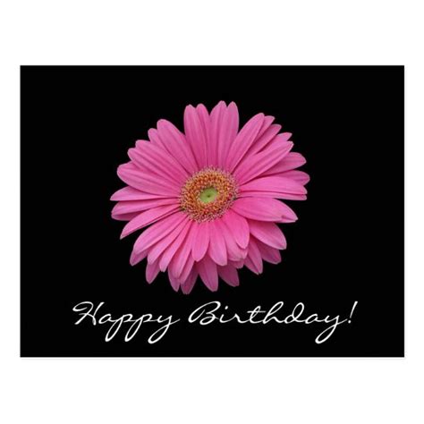 Gerbera Daisy Happy Birthday Postcard