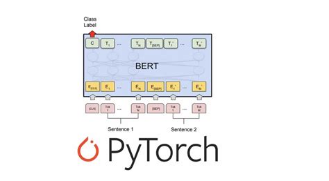 How To BERT Text Classification Using Pytorch