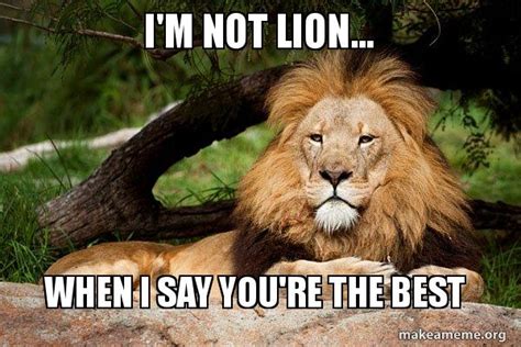 Im Not Lion When I Say Youre The Best Contemplative Lion Make