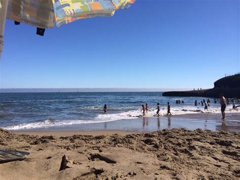 Sunny Cove Beach 20 Reviews Beaches Santa Cruz Ca Photos Yelp
