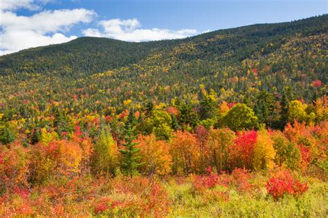 Fall In New England Free Stock Photo Public Domain Pictures