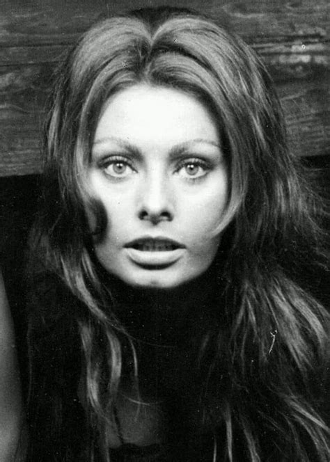 Contact me if there's a problem. Sophia Loren. в 2020 г. | Софи лорен, Актрисы и Певицы