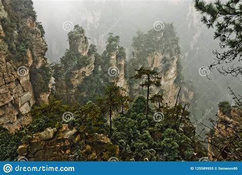 Rocky Cliffs Among The Fog Sheer Cliffs Stock Image Image Of Green