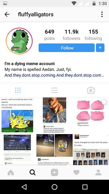 1500 Cool Instagram Usernames Ideas For Girls And Boys New