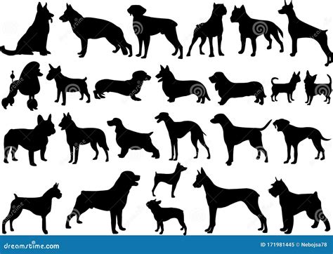 Dogs Silhouettes Collection Stock Vector Illustration Of Animal