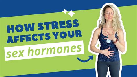 How Stress Affects Your Sex Hormones The Movement Paradigm