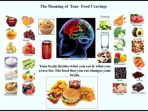 Hyponyms for the word cuisine. Meaning of Food Cravings-Deflect the Toxic Ones - YouTube