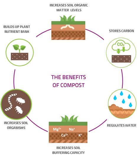 Biowaste Generates Organic Matter European Compost Network
