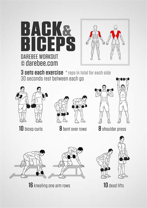Build Bigger Biceps With This One Trick Back And Biceps Workout Back