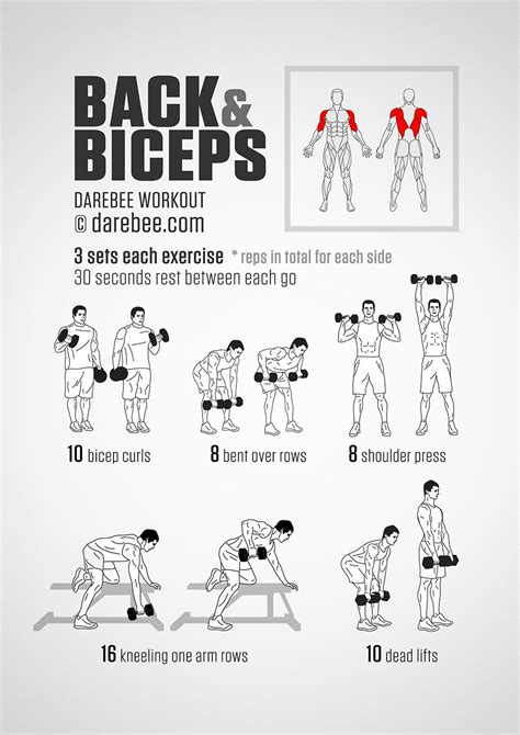 Lie on the floor with your legs bent and feet flat. Back & Biceps Workout | Biceps workout, Back and bicep ...