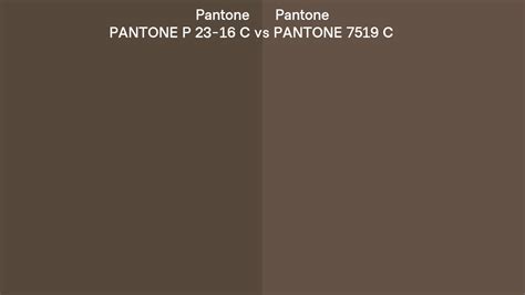 Pantone P 23 16 C Vs Pantone 7519 C Side By Side Comparison