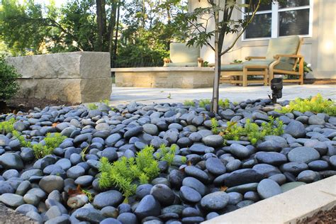 Modern Low Water Garden 5 Drought Tolerant Landscaping Ideas Compete