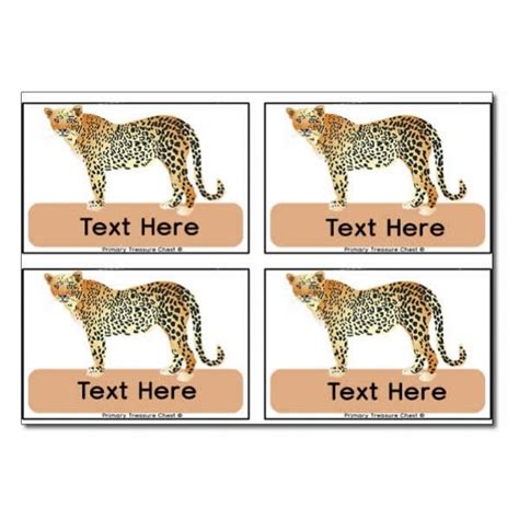 Cheetah Themed Registration Name Cards Name Cards Classroom Themes