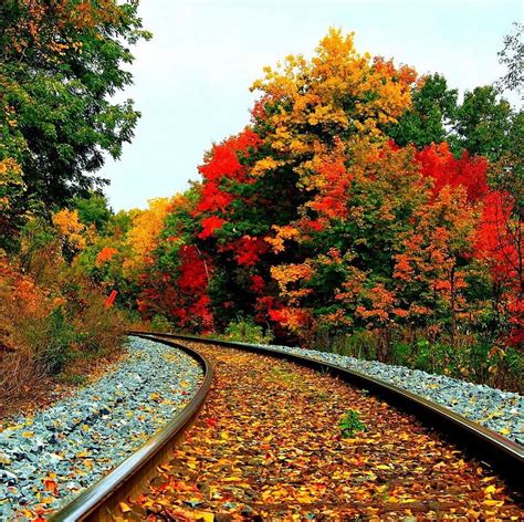 Beautiful Autumn Scenery Autumn Colors Autumn Scenery Autumn Train