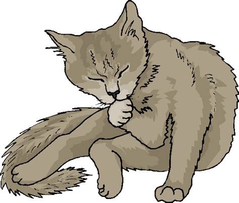 Funny Cat Wash His Face Free Animal Clipart Free