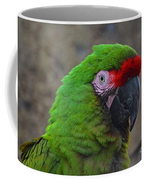 72 Military Macaw Coffee Mug By Joseph Keane Macaw Coffee Mugs Mugs