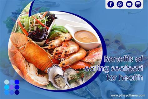 Benefits Of Eating Seafood For Health Pt Nayottama