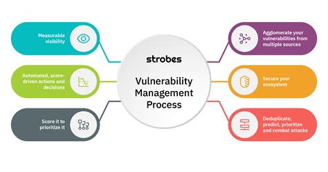 Vulnerability Management Explained Strobes Security