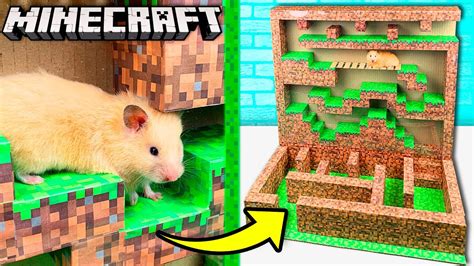Hamsters Battle In Minecraft Maze Diy Youtube