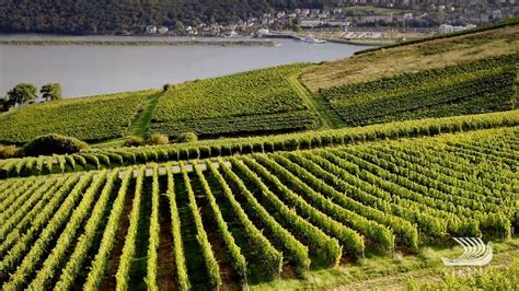 The Wine Regions Of Bordeaux Wine Oceans