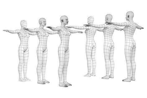 Female And Male Base Mesh In T Pose T Pose Poses Male
