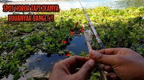 Nemu Spot Horor Tapi Ikanya Banyak Banget ‼️ Mancing Ikan Red Devil