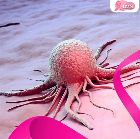 Do You Know What A Cancer Cell Looks Like Slaylebrity