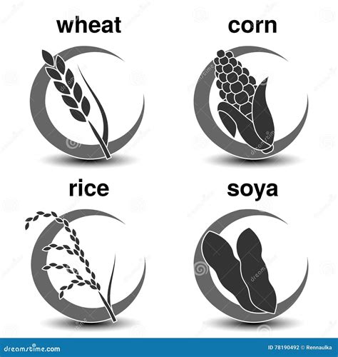 Sistema De Símbolos Circulares Gris Oscuro Con Las Cosechas Económicas Iconos Del Cereal Trigo