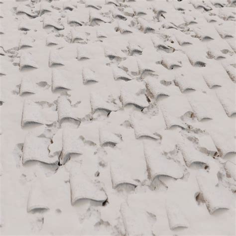 Snowy Roof Texture 4073 Lotpixel