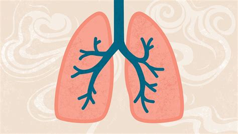 What Are The Causes And Risk Factors Of Copd
