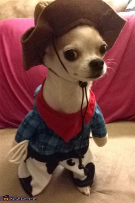 Pet Chihuahua Halloween Costumes Pets Lovers