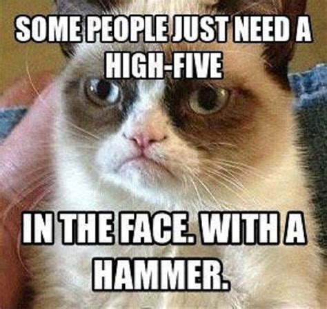 18 Best Grumpy Cat Memes Ever
