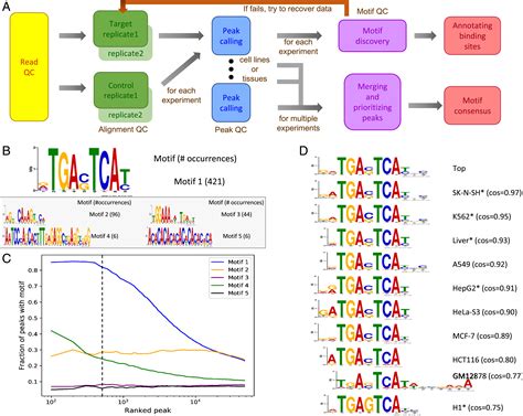 Discovering Unknown Human And Mouse Transcription Factor Binding Sites