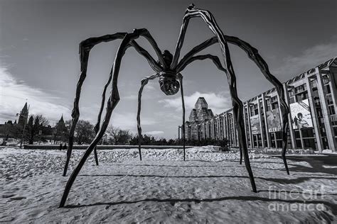 Maman Sculpture In Ottawa Photograph By Lavin Photography