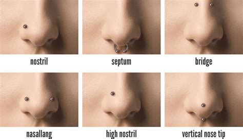 The Different Types Of Nose Piercings Hollywood Body Jewelry Blog