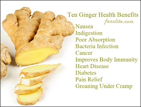 10 important ginger health benefits fans lite