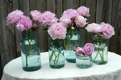 Shabby Cottage Pink Peonies In Aqua Blue Mason Ball Jars